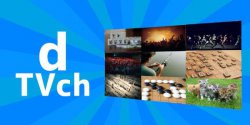 dTVチャンネルとは?番組表・評判から無料登録して実際に使ってみた感想